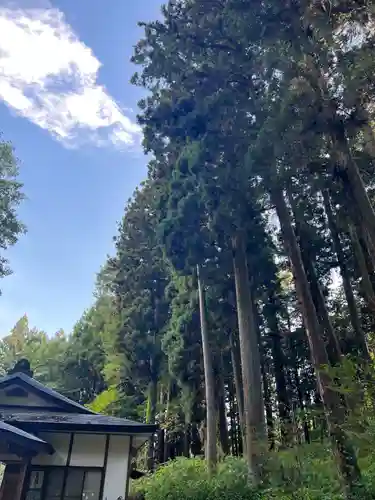 大宮温泉神社(栃木県)