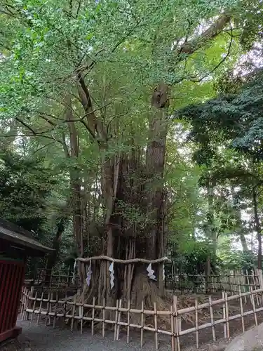 大國魂神社(東京都)