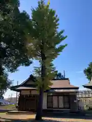 御霊神社(神奈川県)