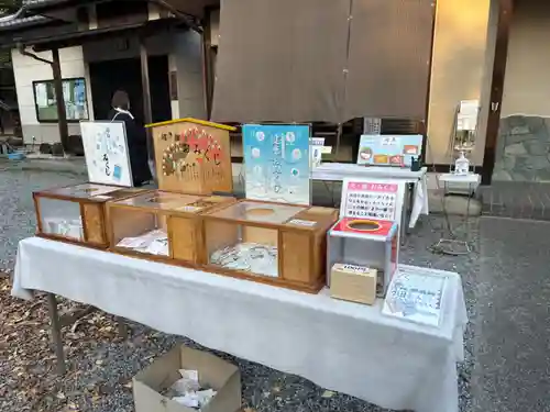 玉敷神社のおみくじ