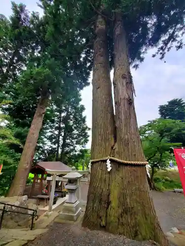 高司神社〜むすびの神の鎮まる社〜の自然