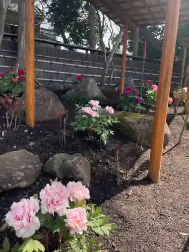 鶴岡八幡宮の庭園