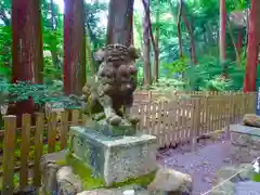 椿大神社の狛犬