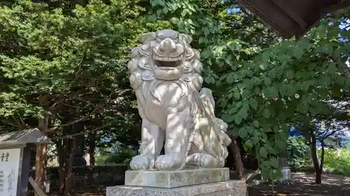 大麻神社の狛犬