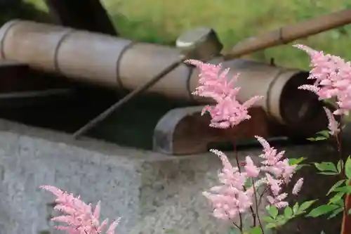 三春大神宮の手水