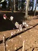 東蕗田天満社の自然