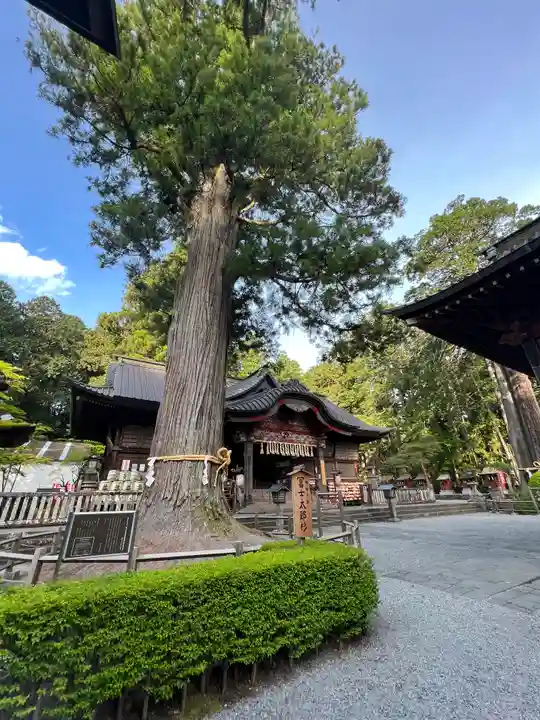 北口本宮冨士浅間神社(山梨県)