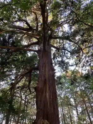 多田神社(兵庫県)