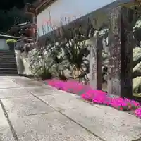 常覺寺のその他建物