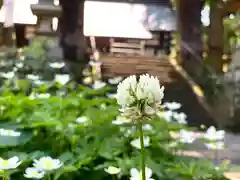 山家神社の自然