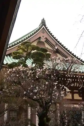 東長寺(福岡県)