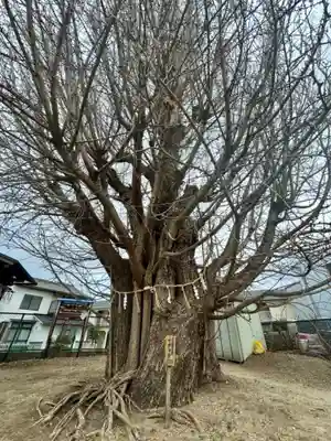 八大龍王辨財天(京都府)