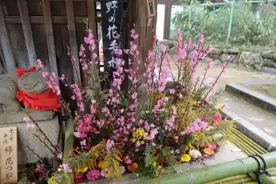 北野天満宮の手水舎