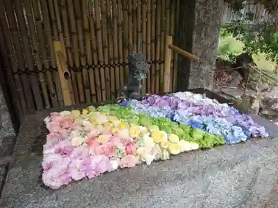 日吉大社の手水舎