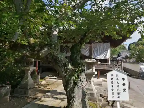 粉河寺(和歌山県)