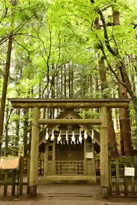 宝登山神社奥宮(埼玉県)