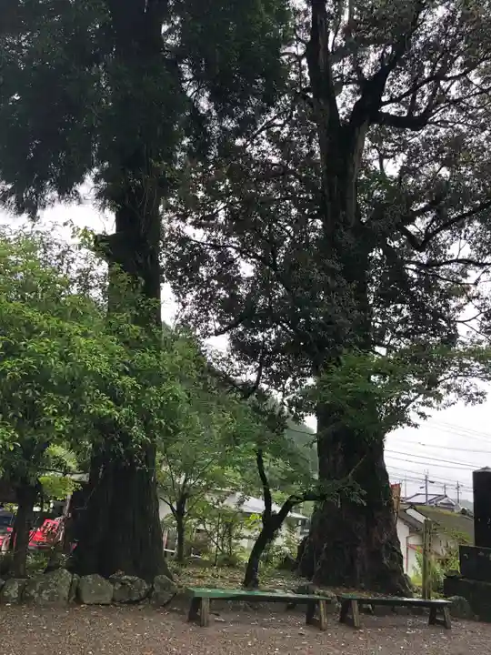 巖島神社の自然