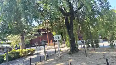 大報恩寺（千本釈迦堂）(京都府)