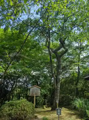 勝持寺（花の寺）(京都府)