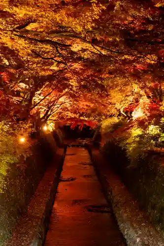 北野天満宮(京都府)