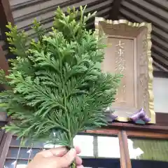 七重浜海津見神社(北海道)