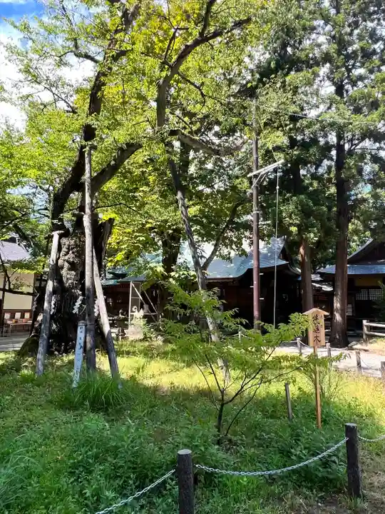 蠶養國神社(福島県)