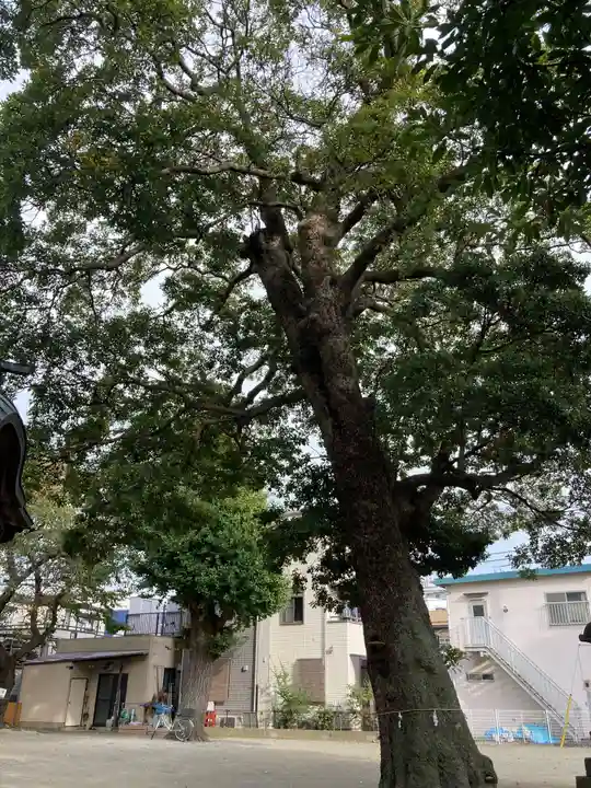 松尾大神(神奈川県)
