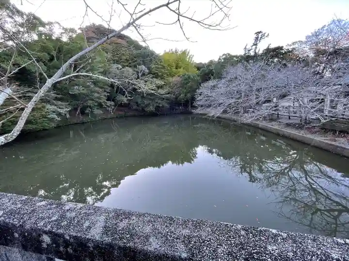 安房神社(千葉県)