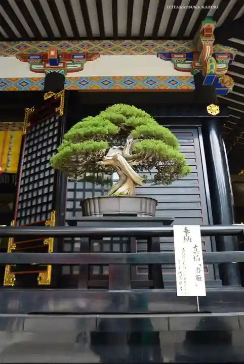 香取神宮(千葉県)