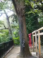 熊野神社の自然