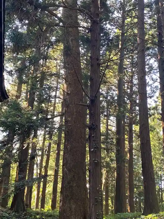 七崎神社の自然