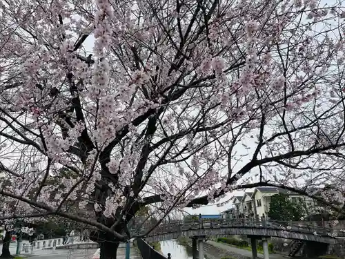 石清水八幡宮(京都府)