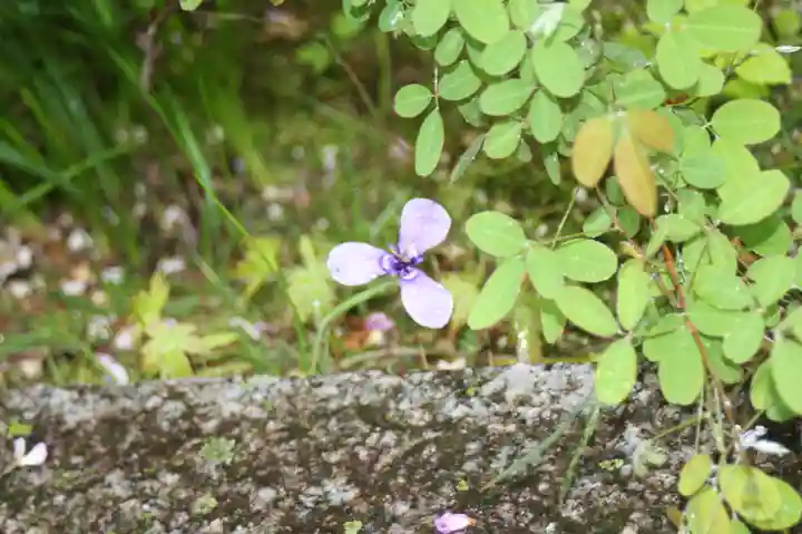 西應寺(滋賀県)