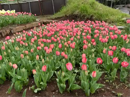 泉蔵寺(神奈川県)