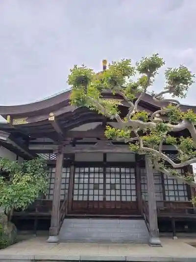 南松寺の本殿