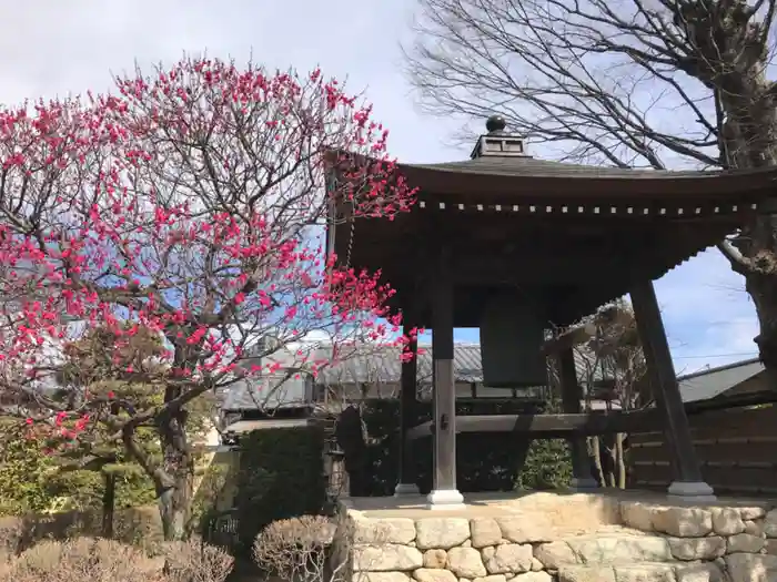 大昌寺の建物その他