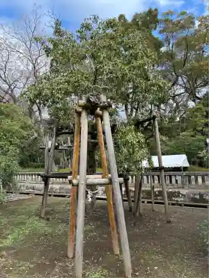 三嶋大社(静岡県)