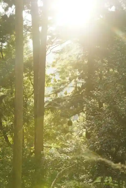 鞍馬寺(京都府)