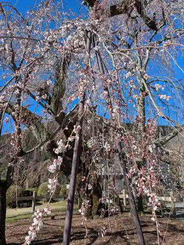 久遠寺(山梨県)