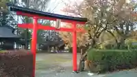 北浦稲荷神社の鳥居