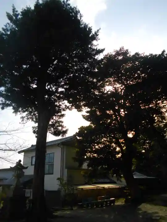 甘縄神明神社(甘縄神明宮)の景色