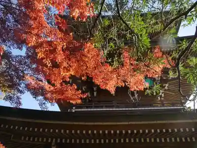 道場寺の塔