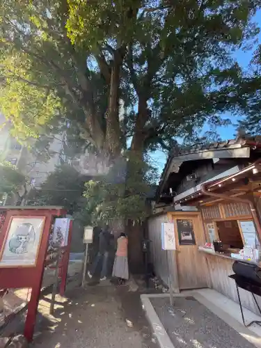 菅生神社(愛知県)