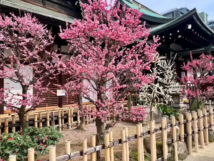 大阪天満宮(大阪府)