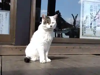 勧学寺(三重県)