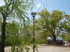 八坂神社(祇園さん)の建物その他