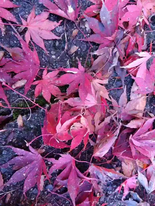 足羽山招魂社(福井県)