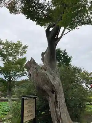 厳島神社(神奈川県)
