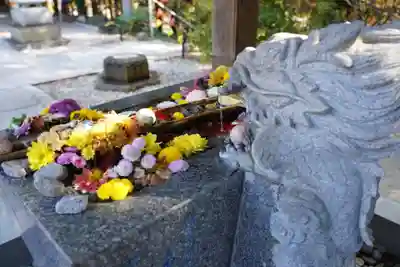 滑川神社 - 仕事と子どもの守り神の手水舎
