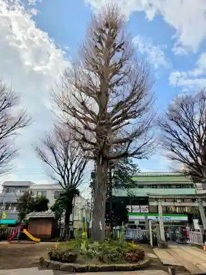 稲荷森稲荷神社(東京都)